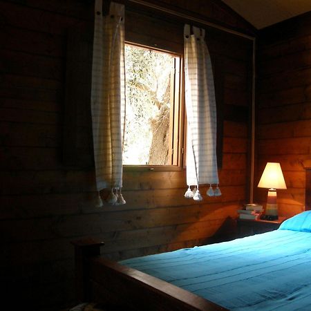 Riviera Degli Eucalipti - Cottage In Riva Al Mare อาชิเรอาเล ภายนอก รูปภาพ