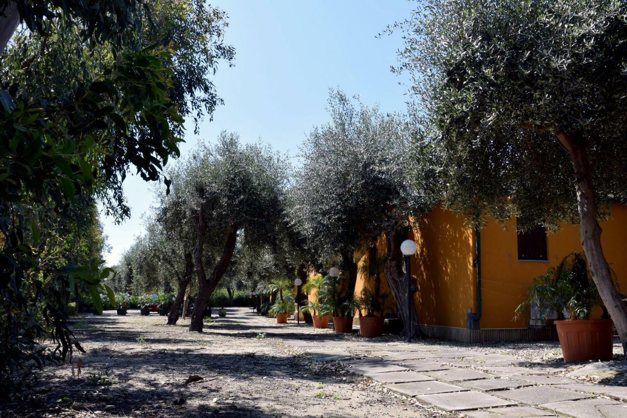 Riviera Degli Eucalipti - Cottage In Riva Al Mare อาชิเรอาเล ภายนอก รูปภาพ