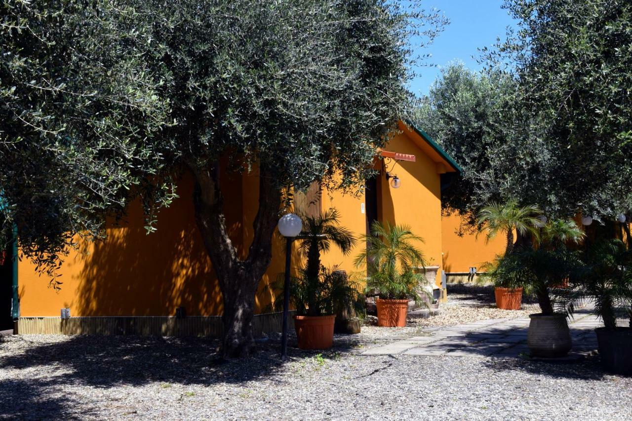 Riviera Degli Eucalipti - Cottage In Riva Al Mare อาชิเรอาเล ภายนอก รูปภาพ