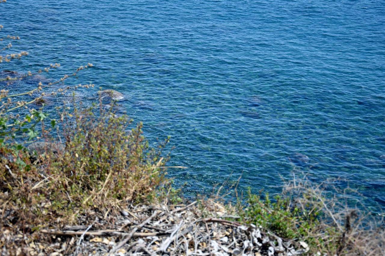 Riviera Degli Eucalipti - Cottage In Riva Al Mare อาชิเรอาเล ภายนอก รูปภาพ