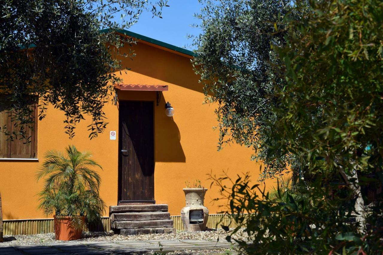 Riviera Degli Eucalipti - Cottage In Riva Al Mare อาชิเรอาเล ภายนอก รูปภาพ