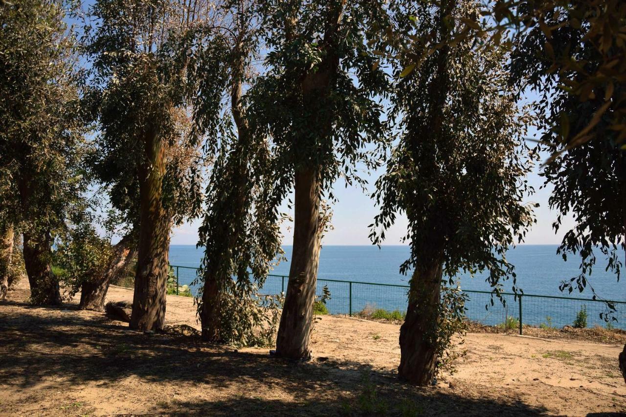 Riviera Degli Eucalipti - Cottage In Riva Al Mare อาชิเรอาเล ภายนอก รูปภาพ